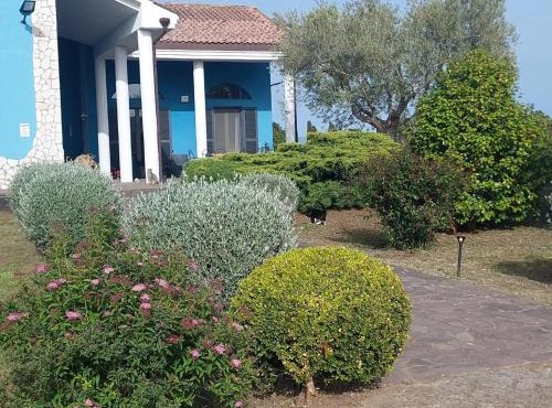 B&B Il Papavero