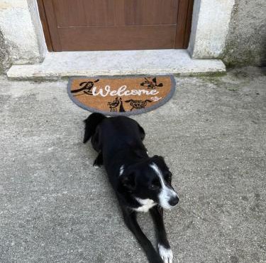 B&B La Majella Me