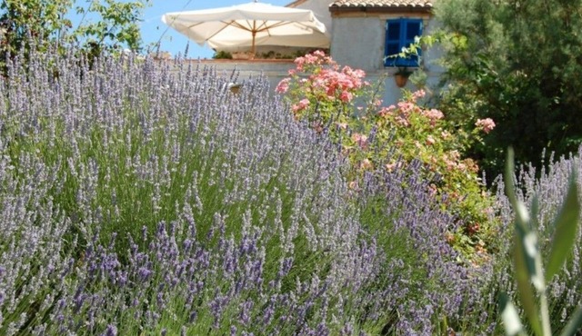 B&B Vento Di Rose