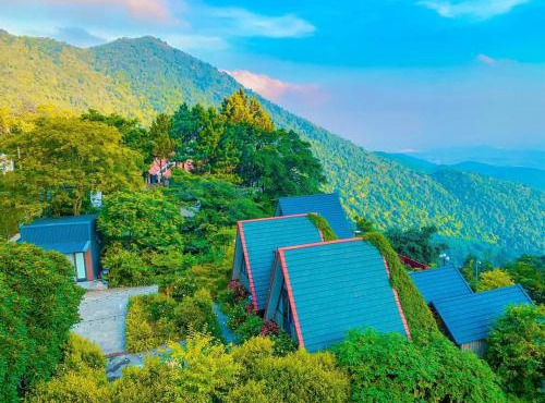 Ban Mai Xanh homestay Tam Đảo