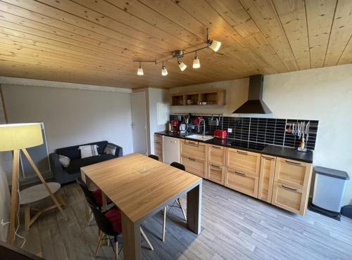 Bel appartement duplex proche des pistes avec balcon et parking - FR-1-787-16