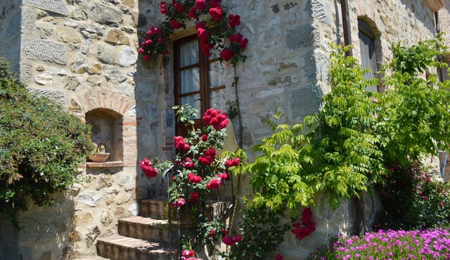 Bellavista Farmhouse between Mount Amiata and Val d'Orcia - Lecci Apartment