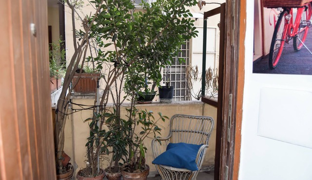 Bright and cozy apartment near the city center