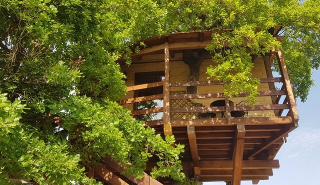Casa Sull' Albero Treehouse Costa dei Trabocchi