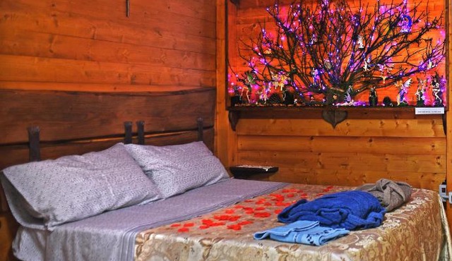 CHALET NEL BOSCO - TENUTA BOCCHINERI