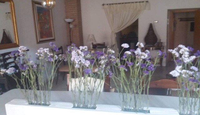 Colisien Home Holiday House