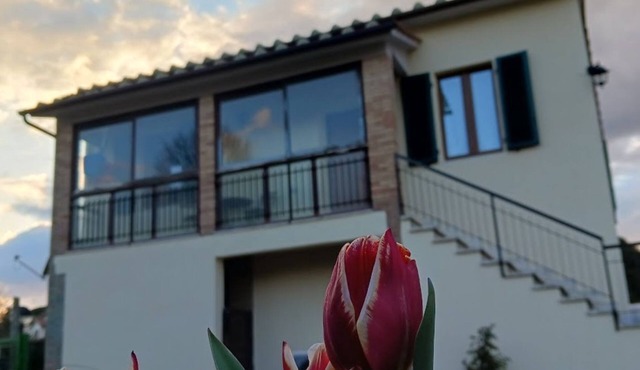Comfort, relaxation and nature