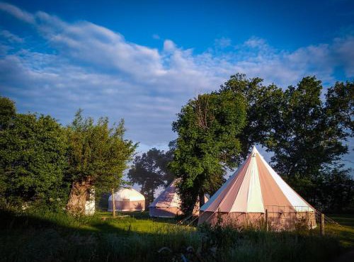 Cool Under Canvas