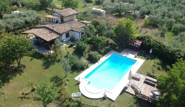 Country house with swimming pool surrounded by an orchard