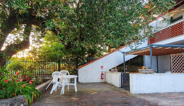 Cozy apartment in Casal Velino with WiFi