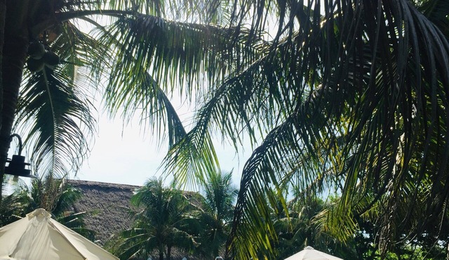 Cuc Phuong Resort