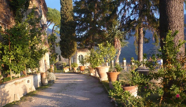 Delightful apartment in the greenery that tells the story of the Sabina