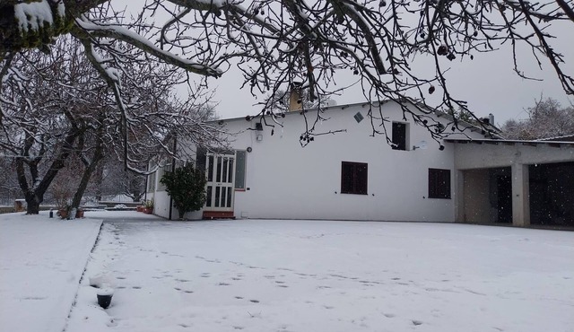Detached cottage among the pines of Sila (CS)