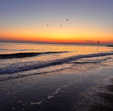 Dimore Fronte Mare affittacamere