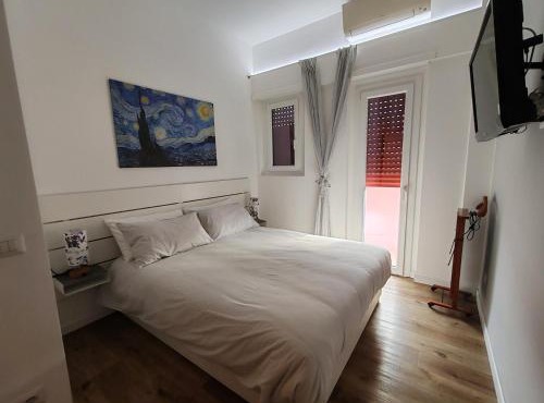 Domus MT481