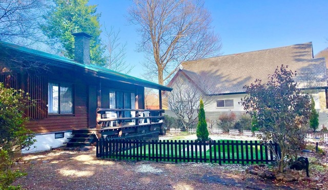 Enjoy a refreshing forest holiday with your precious dog Polar Resort Minami Karuizawa 2withDOG/Kitasaku-gun Nagano