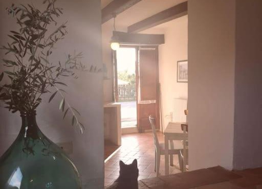 Fantastic Apartment in the Heart of Toscana