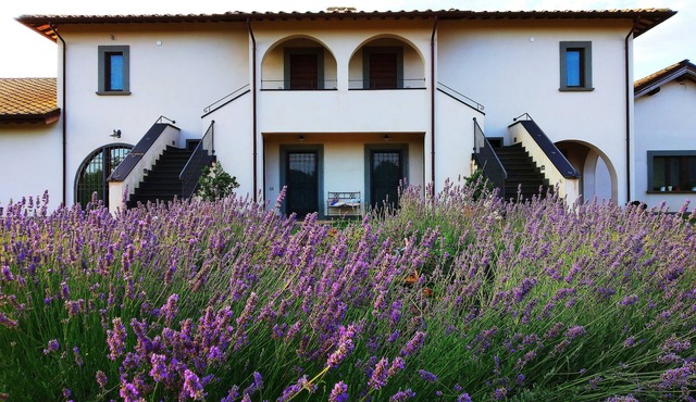 FARM HOLIDAYS FOR GROUPS EVENTS New Year's Eve festivities