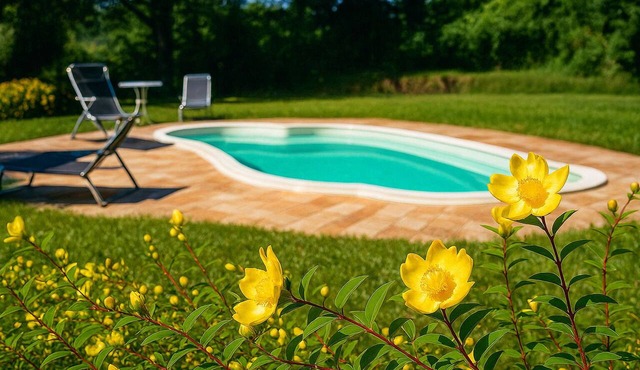 Farmhouse with pool in the Marche region.