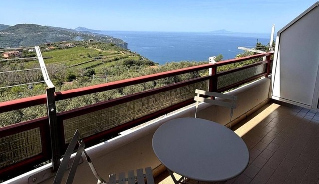 From Pupa SeaView Apartment