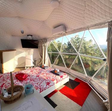 Glamping Lost