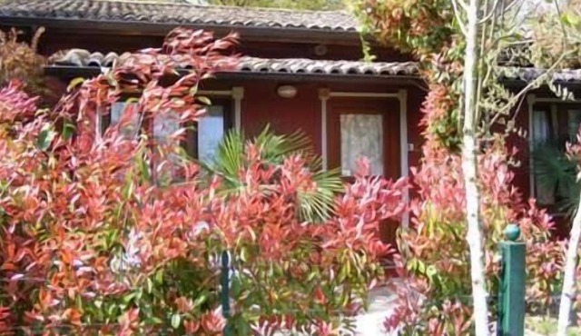 Holiday apartment Tomba di Nerone for 1 - 4 persons with 1 bedroom - Holiday apartment
