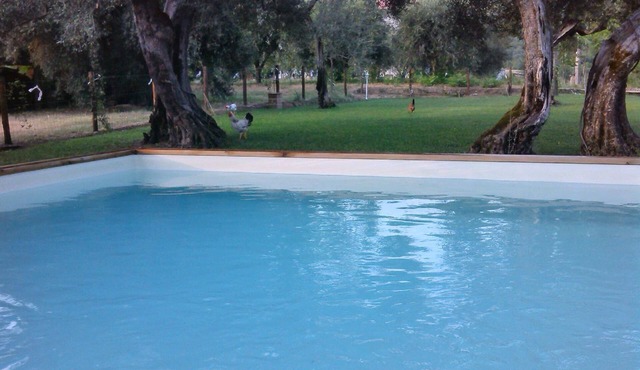 Holiday apartment Oscano for 1 - 4 persons with 1 bedroom - Holiday house