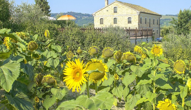 Homerez - Big villa for 20 ppl. with swimming-pool at Montecarotto