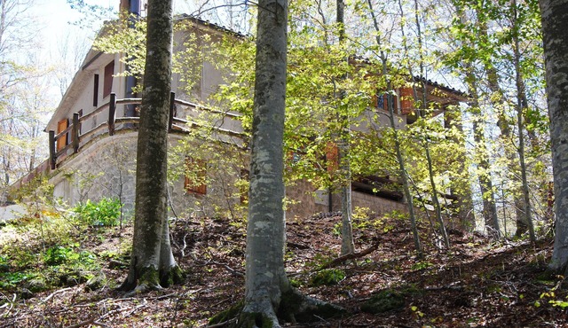 House in the Woods at Macinaie, quiet and nature.