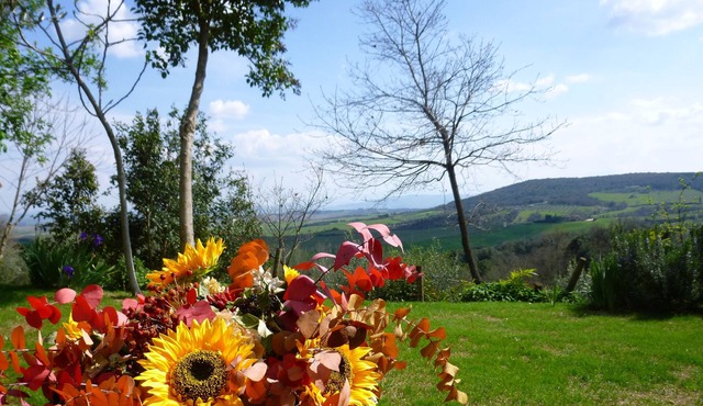 House with garden in the middle of etruscan hills