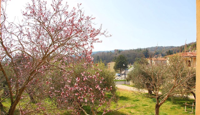 HOUSE WITH GARDEN ON THE TUSCAN HILLS about 20 minutes from the sea WI-FI FREE