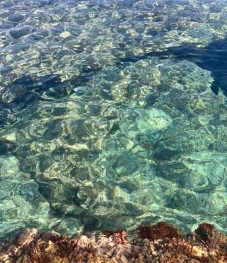 I giardini di Santomaj
