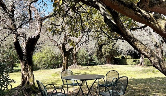 Independent cottage in historical garden