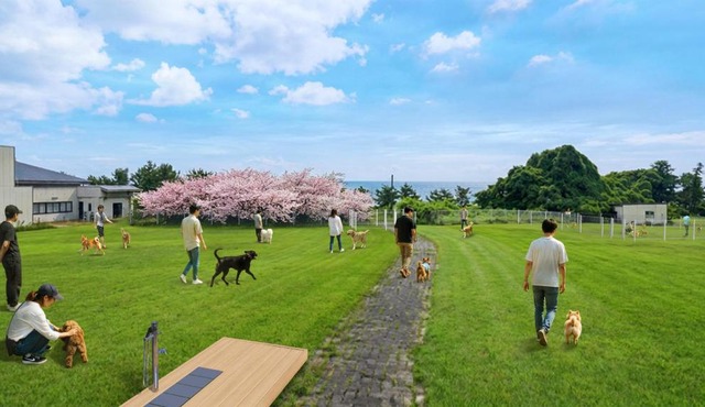 Kunisaki Forest and Sea Dog Resort