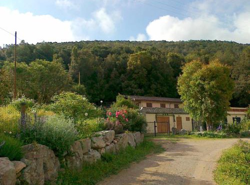 L' Amabile Geko