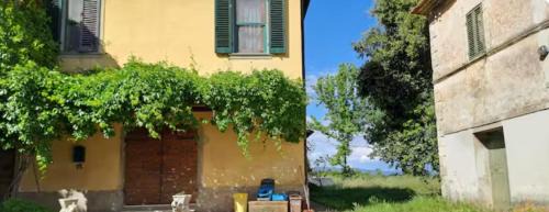 L'assiolo