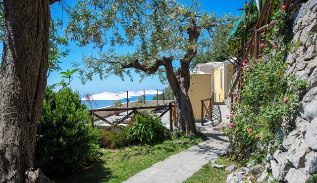L'Ulivo
