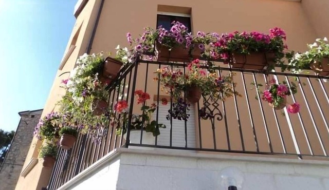 la casa dei fiori
