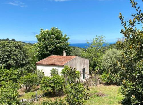 La Casina in the Orange Grove