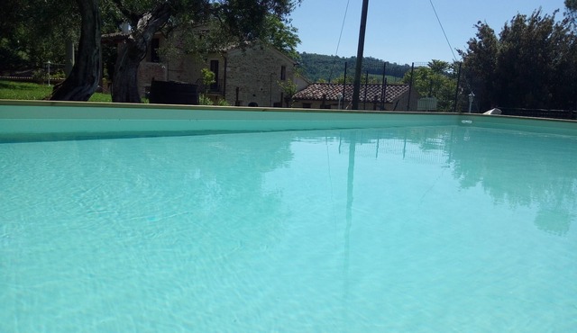 La Collina degli Ulivi (Short Lets/Summer Rentals): Ortensia Apartment