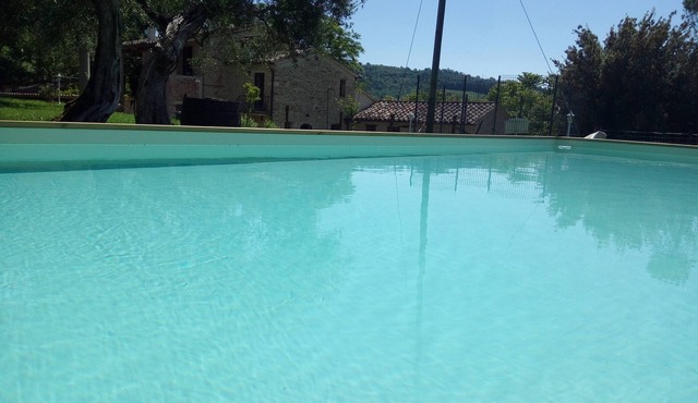 La Collina degli Ulivi (Short Lets/Summer Rentals): Cotoneaster Apartment