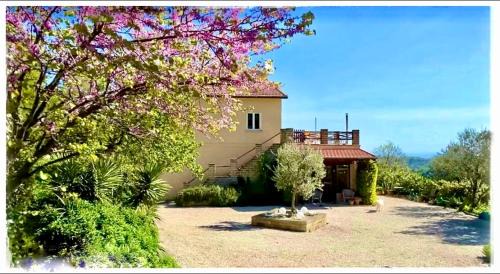 La Fonte e l Ulivo