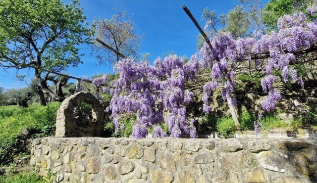 La Terza - Superior Triple Room - Organic Garden View