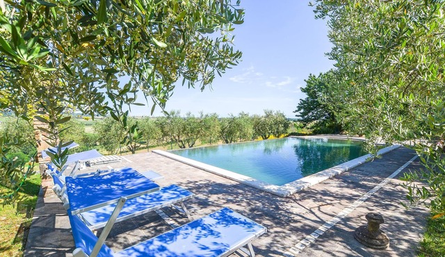 Large farmhouse with private pool in panoramic position