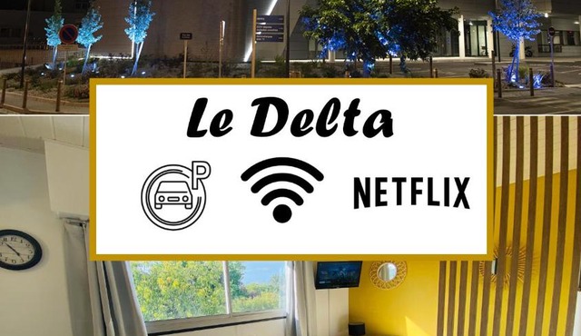 Le Delta - Centre CHU - parking privé - Netflix
