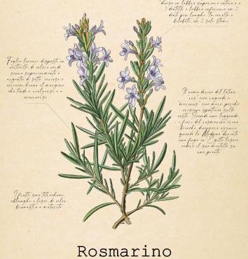 Le Floreali - Casa Rosmarino