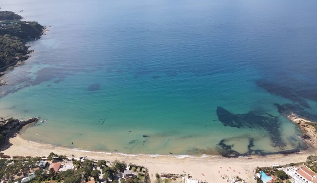 Located just a 4-minute walk from the beautiful sandy beach of Lido di Capoliveri, I Palmizi is the ideal destination for a relaxing seaside holiday on the Island of Elba.Our studio apartments, available both on the ground floor and the first floor, each