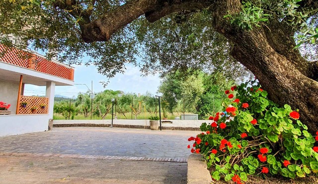 Lovely apartment in Casal Velino with WiFi