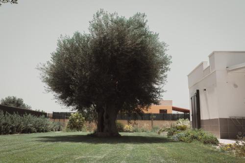 Masseria Gravame - Case Vacanza