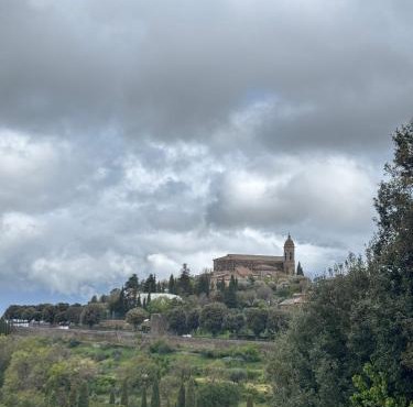 Montalcino numero10